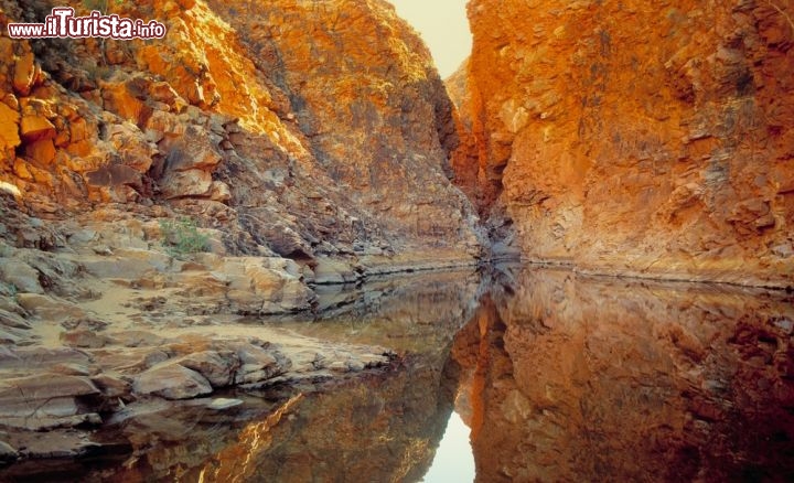 Immagine Redbank Gorge, Northen Territory - La gola si trova nel Red Centre, vicino ad  Alice Springs nell'Australia centrale - © Janelle Lugge / Shutterstock.com