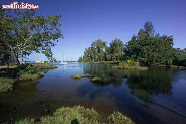 Immagine La Reeds Bay di Hilo, città lungo la costa orientale dell'isola di Hawaii, nell'omonimo arcipelago del Pacifico. Con più di 40 mila abitanti Hilo è il secondo centro più popoloso dello Stato e la Reeds Bay è una bella baia in cui praticare sport e fare gite in barca, su cui si affacciano resort e strutture turistiche - © Bivb / www.hvcb.org