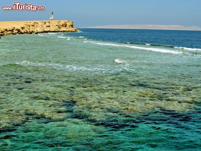 Immagine Ad El Gouna si trova una delle barriere coralline più belle del Mar Rosso (Egitto) - © jele / Shutterstock.com