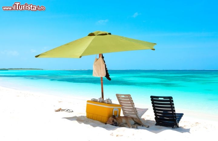 Immagine Relax in spiaggia: siamo nell'immacolato arcipelago di Los Roques in Venezuela, uno dei più classici Paradisi Tropicali del mondo - © Dmitry Burlakov / Shutterstock.com