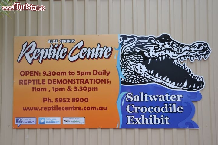 Immagine Reptile Center ad Alice Springs, Northen Territory - Luogo ideale per famiglie, dove scoprirte il mondo dei rettili australiani, dalle piccole lucertole ai grandi coccodrilli, e con la possibilità di tenere tra le mani alcuni esemplari come i pitoni