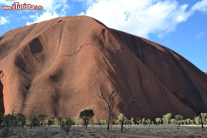 Immagine Le ripide pareti di Uluru (Ayers Rock), Australia - Gli strati di arenaria e conglomerati di Ayers Rock si tuffano quasi in verticale nella pianura, e da circa 150 anni sfidano i più intrepidi nella scalata alla montagna. Di per se la salita non è così difficile, ma può diventare impegnativa per il caldo, e pericolosa in caso di raffiche di vento. Però, in rispetto alla volontà degli aborigeni, noi della Redazione de ilTurista.info sconsigliamo di cimentarsi nella salita, tenendo conto della sacralità del luogo per un popolo che qui vive da decine di migliaia di anni