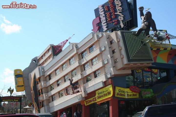 Immagine Ripley's believe it or not Museum, Niagara Falls: è uno stravagante museo di oggetti stravaganti e curiosi provenienti da tutto il mondo.Presente anche in altre città nordamericane, non poteva mancare in una località così turistica come Niagara Falls - Foto © Kevin Norris / Shutterstock.com