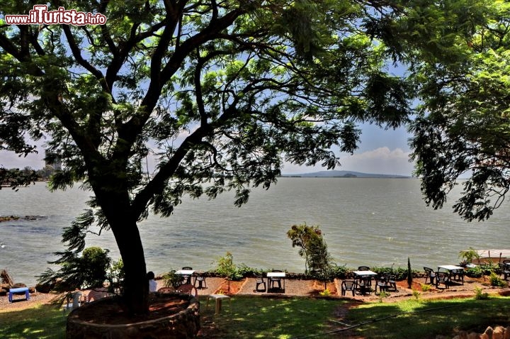 Immagine Ristorante sul  Lago Tana a Bahir Dar, Etiopia