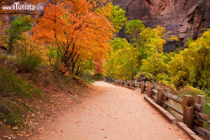 Immagine Zion National Park (Utah, USA): il Riverside Trail, qui fotografato in autunno e guardando in direzione dei Narrows, è uno dei sentieri più famosi e amati del parco. Percorrerlo è semplice anche per le famiglie con bambini e per chi non ha una preparazione particolare, ma regala comunque panorami bellissimi su gole, canyon e altre spettacolari formazioni rocciose - © Nickolay Stanev / Shutterstock.com