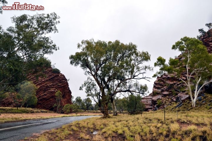 Immagine Le Rocce delle MacDonnel Ranges in Australia - Queste montagne, vecchie di oltre 400 milioni anni sono attraversate da gole e forre, molte delle quali da scoprire con stupende passeggiate o percorsi di trekking