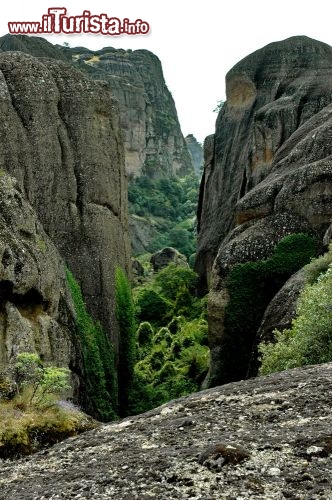 Immagine Un canyon ammantato di verde tra le rocce di Meteora. Si tratta di conglomerati di delta fluviale, sollevati e smembrati in cocuzzoli separati dalle forze tettoniche. Ci troviamo in Tessaglia (Grecia) - © Diletta Mercatali