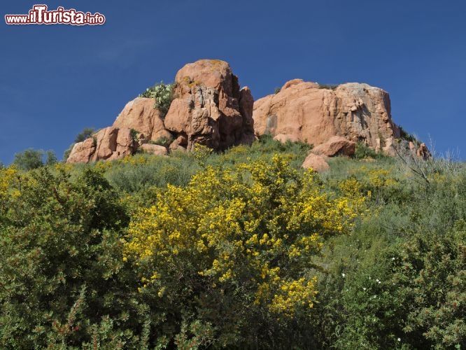 Immagine Rocce e macchia mediterranea nei pressi di Arbatax in Sardegna - © Shutterschock / Shutterstock.com