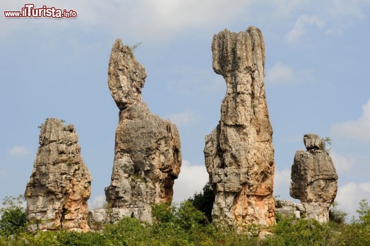 Immagine Rocce erose Stone Forest China la foresta di pietra in Cina. Questo tipo di paesaggio prende il nome di Karst, e si trova quando rocce calcaree vengono aggredite dal clima umido sub-tropicale, creando paessaggi particolari, con pinnacoli, voragini e ponti naturali - © Marc van Vuren / Shutterstock.com