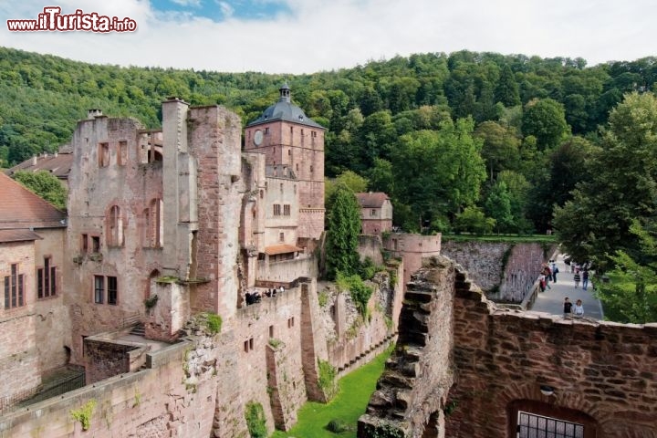 Immagine Rovine del castello di Heidelberg in Germania - ©German National Tourist Board