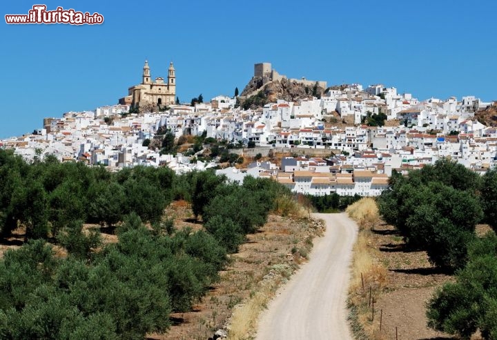 Immagine Ruta de los pueblos blancos, sullo sfondo il borgo di Olvera in Andalusia - © Arena Photo UK / Shutterstock.com