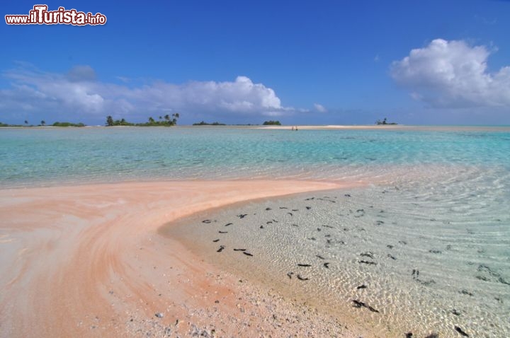 Immagine Le Sabbie Rosa Unesco a Fakarava, nei pressi del Pass di Tumakohua