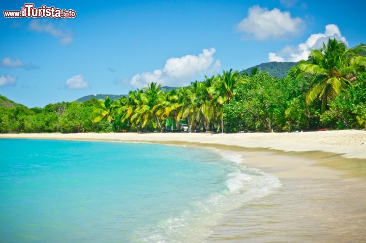 Immagine Una lunga spiaggia bianca a Tortola,  Isole Vergini Britanniche - © mffoto / Shutterstock.com