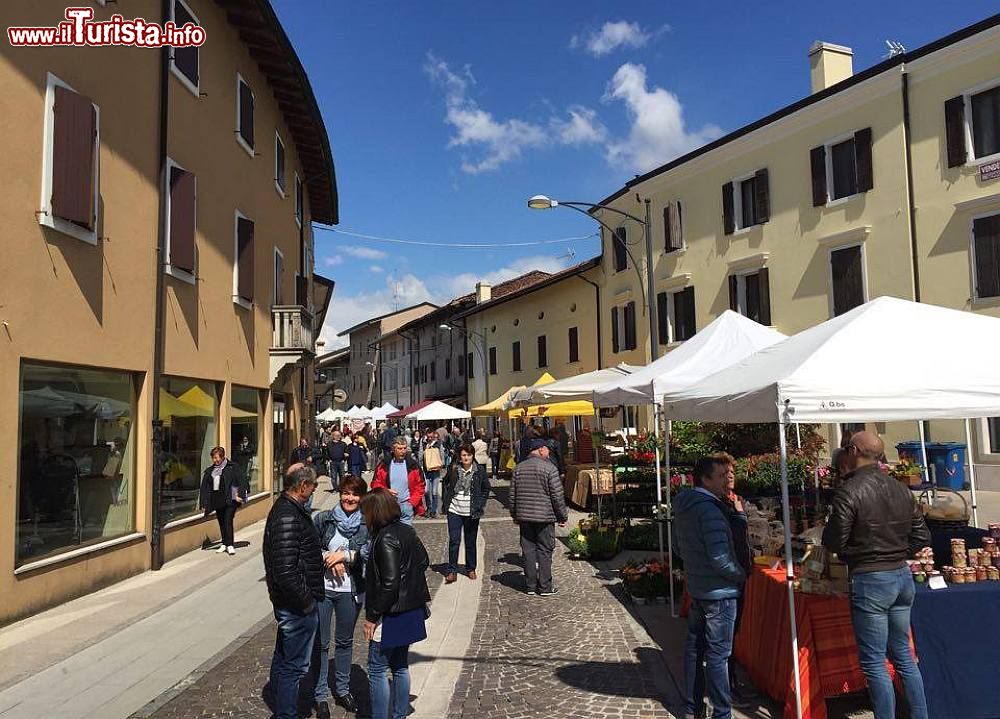 Sagra del Vino Casarsa della Delizia