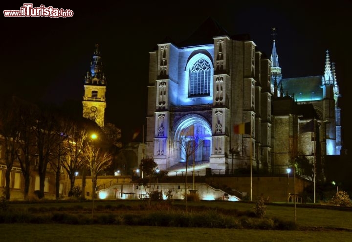 Immagine La cattedrale di Sainte Waudru fotografata di notte a Mons, in Vallonia  - © pavel dudek / Shutterstock.com