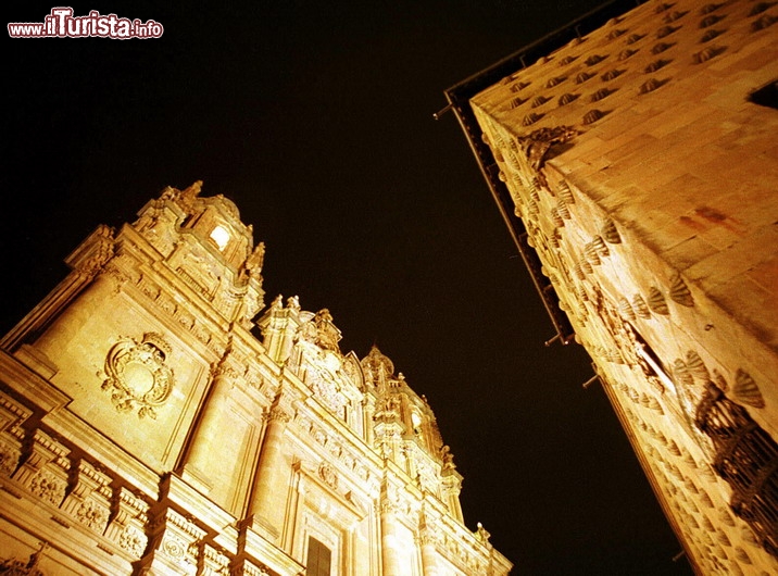 Immagine Salamanca Clereca y Casa de las Concha - Copyright foto www.spain.info