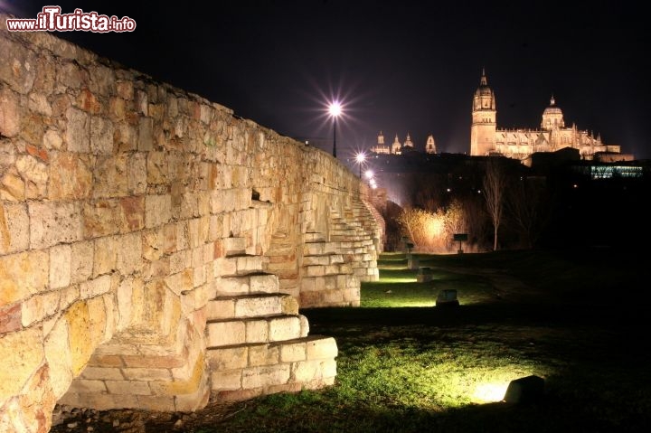 Immagine Salamanca il Ponte romano - Copyright foto www.spain.info