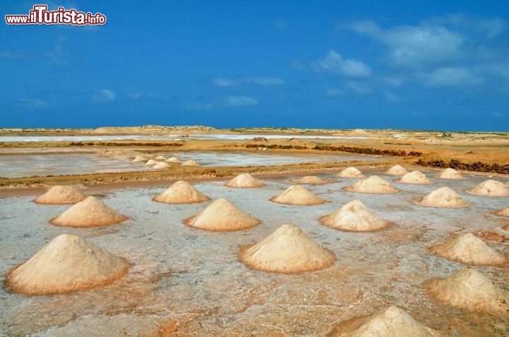 Immagine Saline sull'Isola di Sal a Capo Verde. i mucchietti ordinati di cloruro di sodio creano un paesaggio particolare sull'isola nord-orientale dell'arcipelago - © Styve Reineck / Shutterstock.com