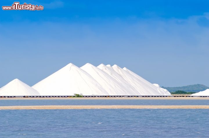 Immagine Le candide saline di Bonaire - © Durden Images / Shutterstock.com