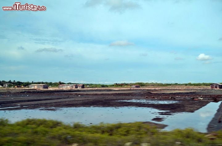 Immagine Il distretto delle saline di Montecristi, Repubblica Dominicana, centro più antico dell'emisfero occidentale per la raccolta del sale