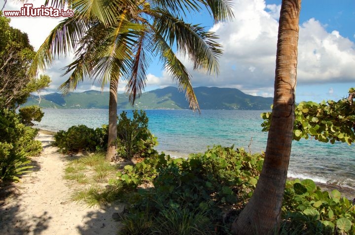 Immagine Sandy Cay, l'esclusiva spiaggia solitaria si trova a Jost Van Dyke, l'isola che porta il nome di un famoso pirata olandese, alle BVI  - © AJoel Blit / Shutterstock.com