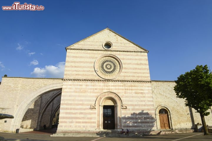 Immagine Fra il 1257 e il 1265, attorno all'antica Chiesa di San Giorgio a Assisi, venne costruita la Basilica di Santa Chiara realizzata in stile architettonico gotico. L'esterno dell'edificio è caratterizzato da tre contrafforti poligonali a forma di archi rampanti; la facciata è realizzata in filari di pietra locale bianca e rosa - © Paolo Bona / Shutterstock.com