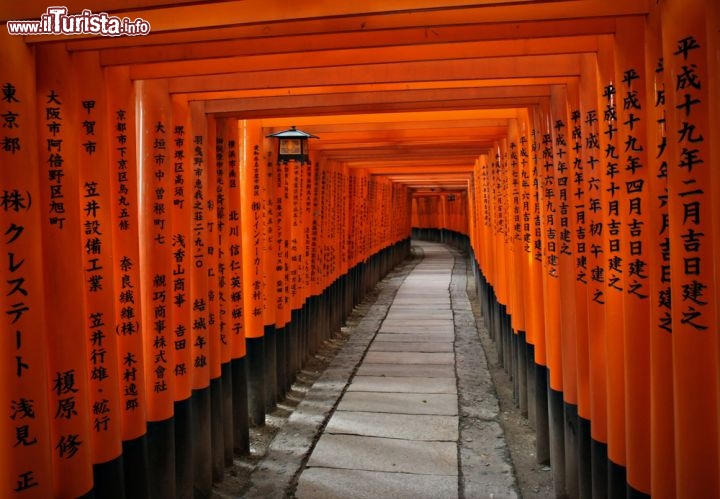 Immagine Particolare del santuario Fushimi Inari di Kyoto, Giappone - Principale santuario dedicato al kami Inari, considerato il patrono degli affari, Fushimi Inari sorge alla base di una montagna situata a 233 metri sul livello del mare e comprende sentieri che accompagnano a edifici di culto minori. Ogni anno questo luogo richiama milioni di fedeli in occasione del Capodanno giapponese. L'immagine ritrae un torii cioè il tradizionale portale d'accesso che conduce al santuario shintoista o più in generale ad un edificio sacro. La costante presenza di questa struttura è legata al fatto che passarvi sotto è considerata una forma di purificazione © Neale Cousland / Shutterstock.com