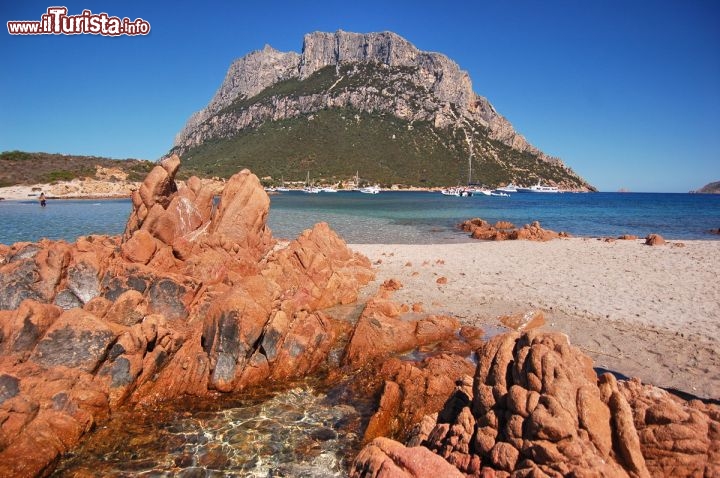 Immagine Sardegna Isola Tavolara graniti rossi spiaggia, Porto San Paolo
