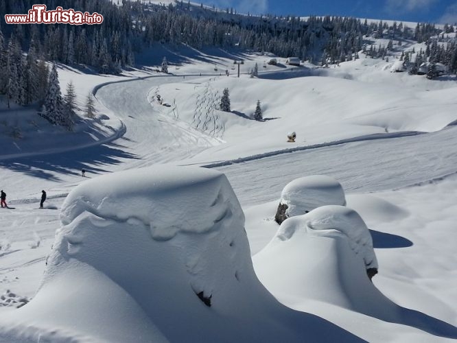 Immagine Sciare a Folgaria in Trentino, piste adatte ad ogni livello di sciatore - ©  Folgariaski.com