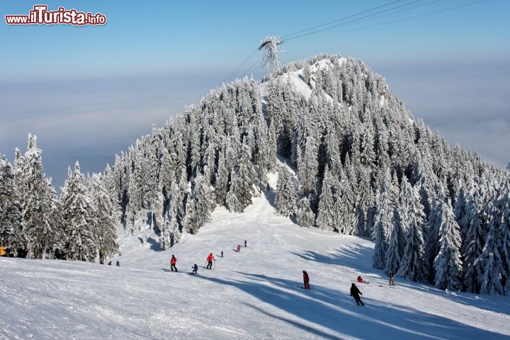 Immagine Sciare sui Carpazi, a Brasov - Poiana Brasov è la più famosa stazione rumena per gli sport invernali oltre che un importante centro turistico di fama internazionale. Dispone di 12 piste da sci, con più di 25 chilometri e 60 ettari, e diversi livelli di difficoltà fra cui pista olimpica, grande slalom e slalom speciale. Sia gli appassionati di sport invernali che gli amanti di passeggiate e paesaggi d'altura possono usufruire di un sistema funiviario completo (funivia e seggiovia) mentre le piste sono dotate di sciovie. Situata nella contea di Brasov, ai pieid del Massiccio Postavaru nei Carpazi meridionali ad un'altitudine di circa 1030 metri sul livello del mare, Poiana vanta neve per circa 120 giorni l'anno © Brandus Dan Lucian / Shutterstock.com