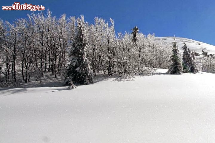 Immagine Sciare a Schia Emilia Romagna