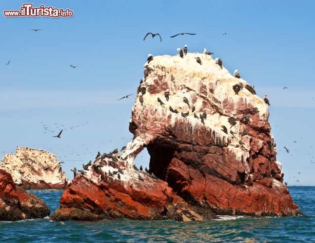 Immagine Scoglio coperto da guano: ci troviamo alle Islas Ballestas, al largo di Paracas in Perù - © Ksenia Ragozina / Shutterstock.com