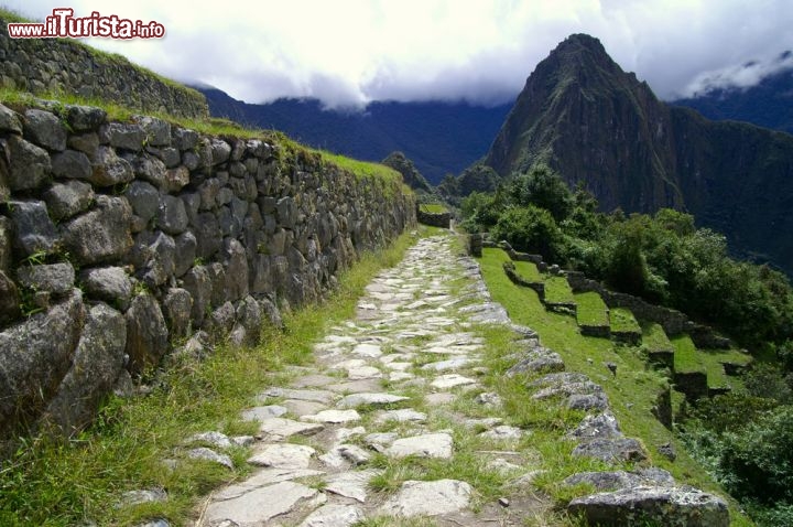 Immagine Sentiero dell'Inca trekking verso Machu Picchu, Perù - Il contrasto fra il biancoazzurro del granito e il verde dell'erba che ricopre i terrazzamenti agricoli sui pendii crea un effetto cromatico a dir poco entusiasmante. Basterebbe questo a rendere unico il trekking verso la città perduta ma la natura delle Ande ha fatto molto di più offrendo agli escursionisti panorami difficili da trovare altrove - © rest / Shutterstock.com