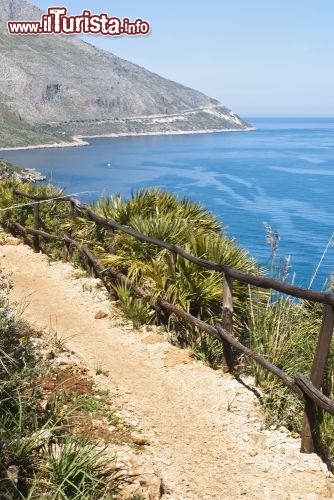 Immagine Sentiero lungo la Riserva dello Zigaro in Sicilia. Il trekking segue il litorale che va dalla Tonnara di Scopello alle pendici del monte Monaco, muovendosi a mezzacosta. Numerose deviazioni consentono di scendere nelle varie calette appartate che si aprono man mano ai vostri occhi, mentre procedete nella passeggiata - © Gandolfo Cannatella / Shutterstock.com