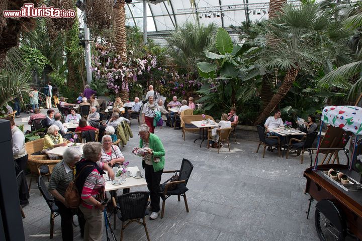 Immagine La serra delle orchidee sull'Isola di Mainau, Germania. Ogni anno quest'isola viene visitata da più di 1 milione di persone.