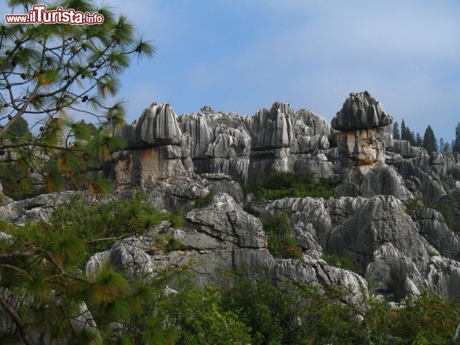 Le foto di cosa vedere e visitare a Kunming