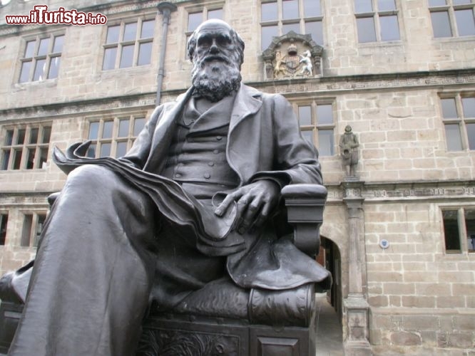 Immagine La statua di Charles Darwin a Shrewsbury  - © dan_wrench / iStockphoto LP.