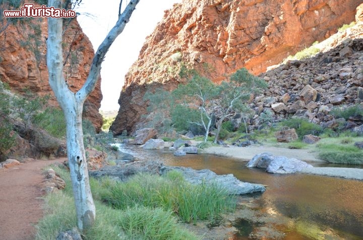 Immagine Il Simpson's Gap nelle MacDonnell Range - si trova nei pressi di Alice Springs nel Northern Territory in Australia - © Albert Pego / Shutterstock.com