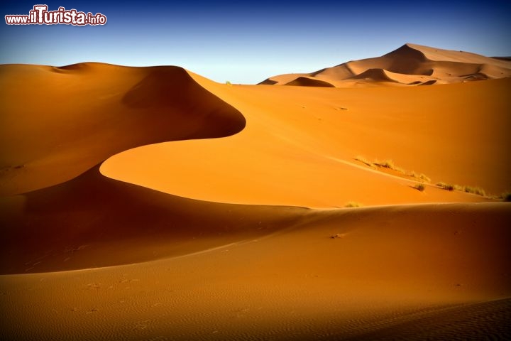 Immagine Le sinuose geometrie dell'Erg Chebbi: le celebri dune di Merzouga sono tra le più belle del Marocco e molti turisti vengono qui per ammirare l'alba, il momento più bello di tutta la giornata. Merzouga si trova a sud della catena dell'Atlante e dalla città di Erfoud, verso il confine orientale con l'Algeria - © apdesign / Shutterstock.com