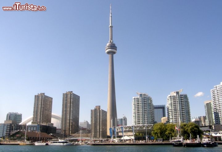 Immagine La Skyline di Toronto è dominata dalla CN Tower, la torre più alta del Canada. Per qualche anno fu l'edificio autoportante più alto del mondo, con la ragguardevole quota di 553 km. Oggi comunque detiente ancora il terzo posto assoluto. Ospita un ristorante, è sicuramente il punto panoramico della città di Toronto, e da qui si riescono a vedere in lontananza le cascate del Niagara - © Ritu Manoj Jethani / Shutterstock.com