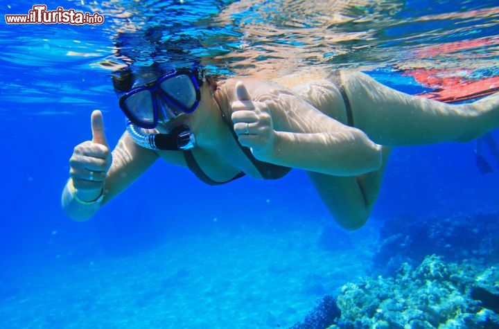 Immagine Snorkeling nel Mar Rosso a Sharm el Sheikh. Lungo la costa sud del Sinai si trovano parecchi punti adatti alle immersioni, e poco ad est della più famosa località di mare egiziana si trova il Parco Nazionale di Ras Mohammed, una delle zone migliori per andare ad ammirare la barriera corallina ed il reef del Mar Rosso - © Patryk Kosmider / Shutterstock.com