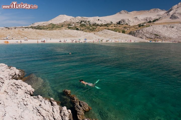 Immagine Snorkeling a Pag in Croazia. I forti venti di bora matengono le coste orientali di questa isola della Dalmazia prive di vegetazione, conferendo un aspetto quasi lunare alle spiagge. Le rocce calcaree forniscono  un accattivante tonalità chiara, e si trovano sia spiagge con ciottoli che, radi, tratti sabbiosi. Di certo qui il mare Adriatico è particolarmente limpido, ideale anche per compiere immersioni - © piotrwzk / Shutterstock.com