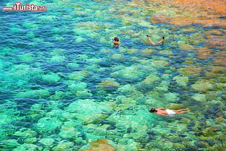Immagine Formentera è un paradiso per gli amanti dello snorkeling: come le altre isole Baleari, nella Spagna centro-orientale, vanta un'acqua limpidissima e fondali da sogno, che alternano la sabbia agli scogli. Tra le rocce si incontrano pesci, anemoni e altri abitanti del mare... l'acqua è così trasparente che si vedono anche a occhio nudo - © Kenneth Dedeu / Shutterstock.com