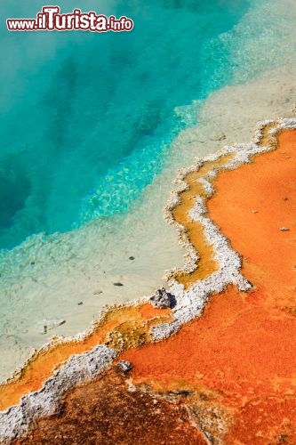 Immagine Black pool è una sorgente termale nel parco di Yellowstone (USA). Notare il contrasto tra le acque cristalline ed i fanghi colorati, con la pigmentazione dovuta sia per la presenza di minerali che di colonie di batteri - © Julie Lubick / Shutterstock.com