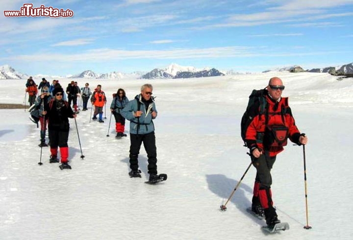 Immagine Spedizione alle Isole Svalbard sui ghiacci artici, Norvegia - Foto di Giulio Badini