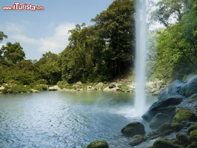 Immagine Le cascate di Misol-Ha, nei pressi di Palenque (Chiapas), sono spettacolari: dopo il salto di 40 metri danno luogo a una limpida piscina naturale, in cui si può nuotare nel cuore della giungla - © Serafino Mozzo / Shutterstock.com