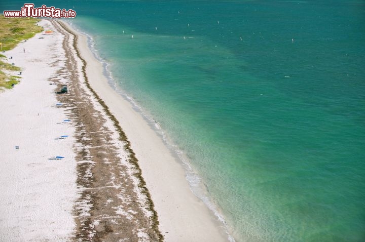 Immagine Spiagga a sud di Miami: il Bill Baggs Cape State Park si trova nella porzione meridionale di un'isola a sud della città di Miami, nota come Key Biscaine. Alla sua estremità sorge il Cape Florida Lighthouse - © FloridaStock / Shutterstock.com