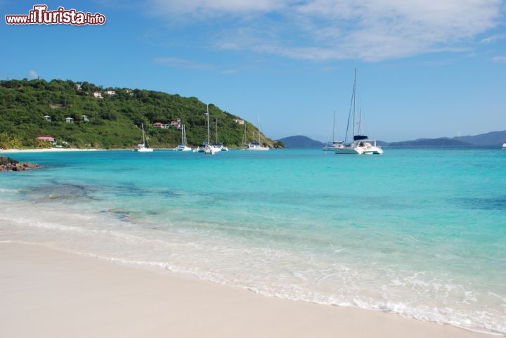 Immagine Spiagga bianca a Jost Van Dyke. Le British Virgin Islands (BVI) si trovano nella zona più settentrionale dei caraibi, a metà strada circa tra Porto Rico e Anguilla - © Joel Blit / Shutterstock.com