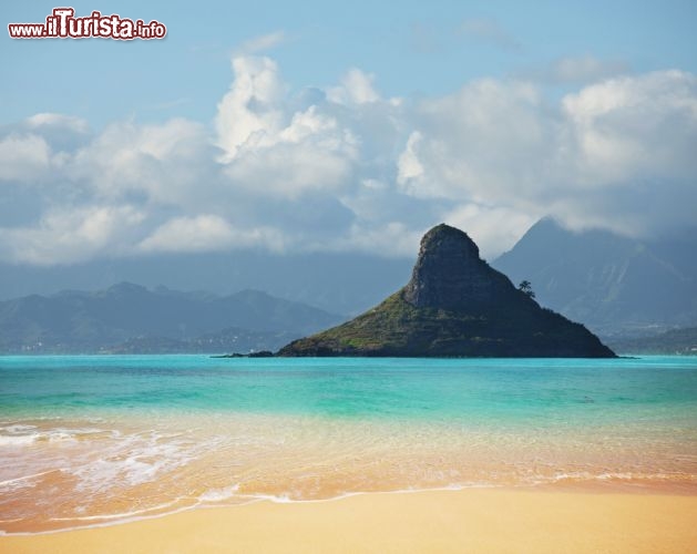 Immagine Spiagga tropicale isola Oahu Hawaii USA  - © Galyna Andrushko / Shutterstock.com