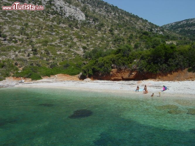 Immagine Una bella spiaggia ad Alonissos, siamo nelle Isole Sporadi del Mar Egeo della Grecia - © Ioannis Nousis / Shutterstock.com